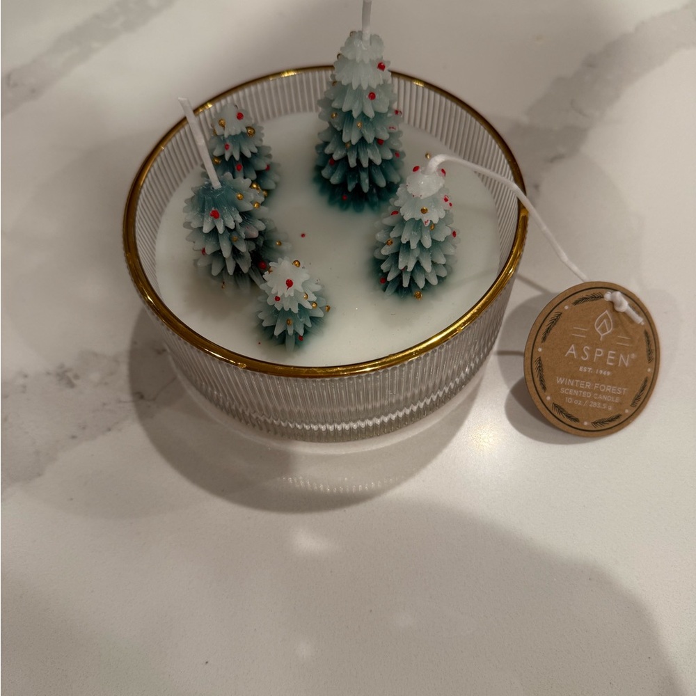 Viral tiktok candle-Aspen Winter Forest Candle with Tree Design